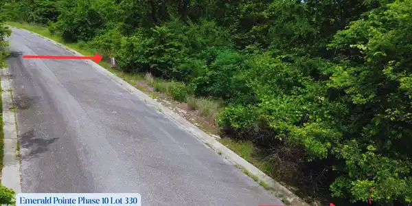 Image 2 Image 2