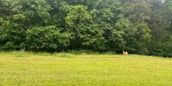 Lot 7 Saddlebrooke Drive
