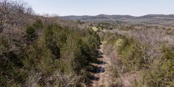000 Pilot View Road
