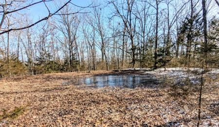 Lot 202 Forest Lake Drive
