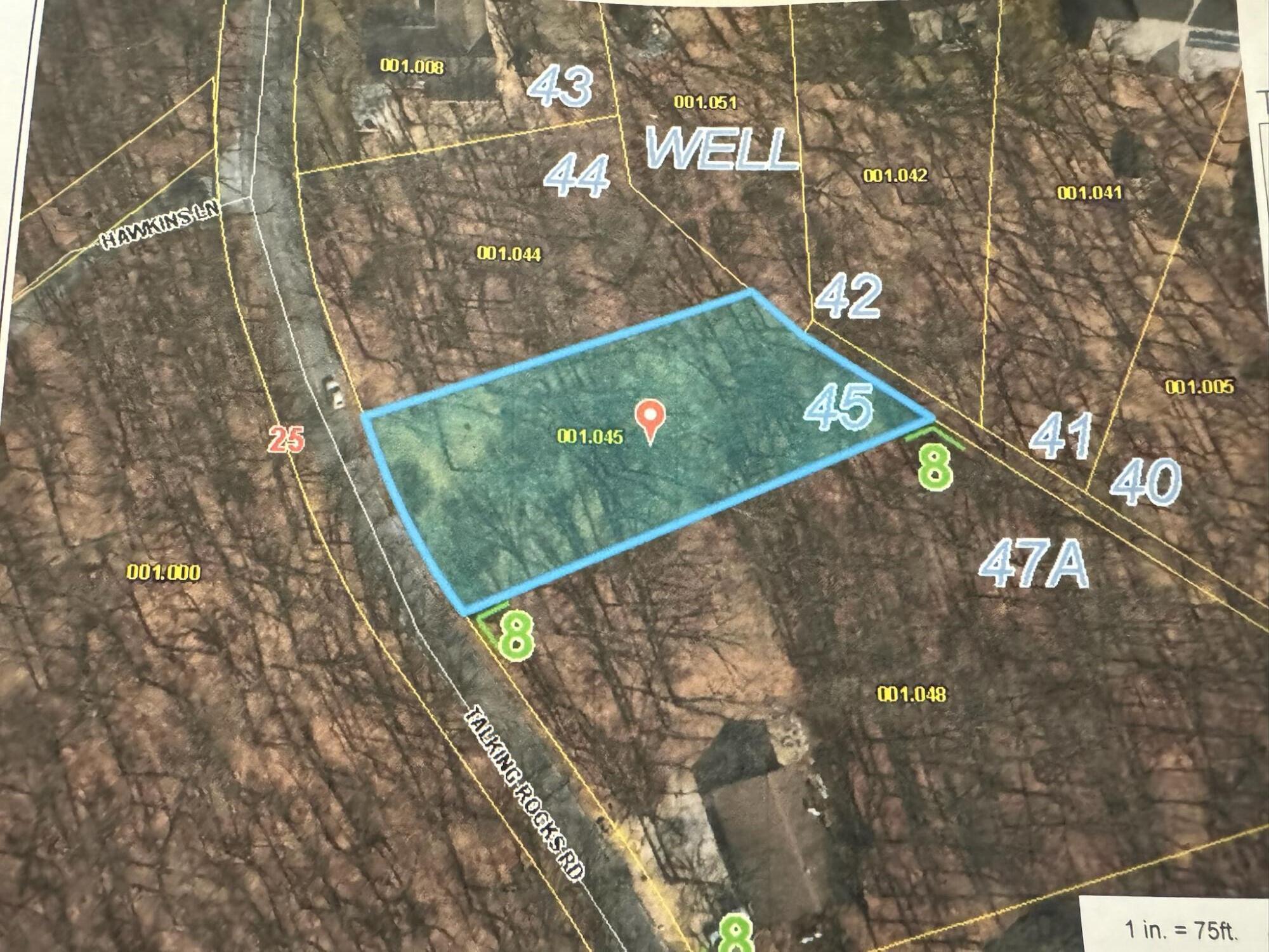 Image 1 Image 1