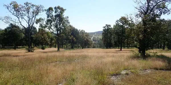 Image 4 Image 4