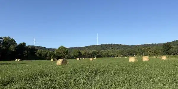 Image 3 Image 3