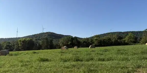 Image 4 Image 4