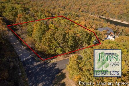 Lot 25 Trail New Lane