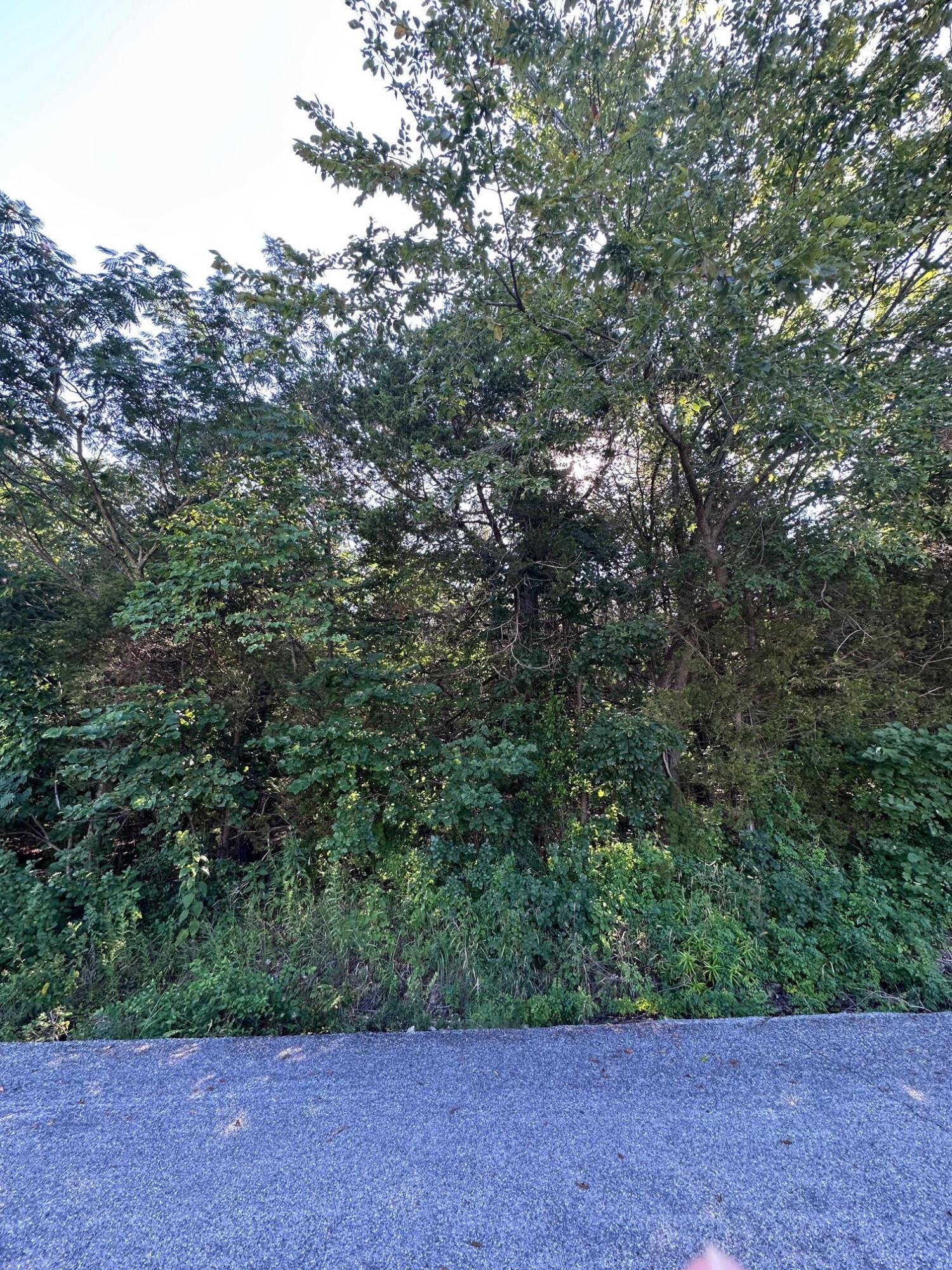 Image 4 Image 4