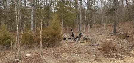 000 Lot 97 Summer Breeze Lane