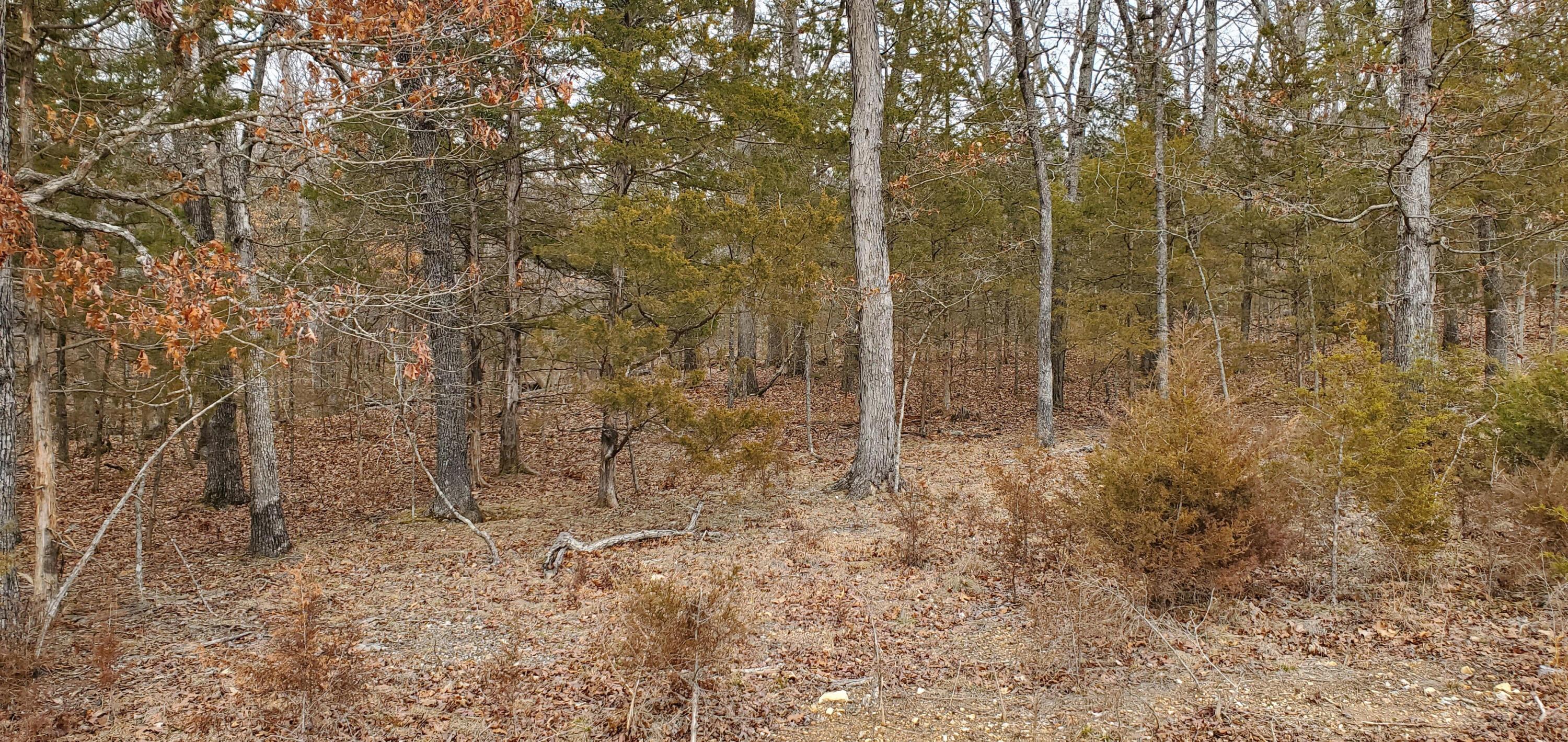 Image 2 Image 2