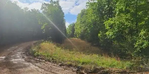 Tbd County Road 804