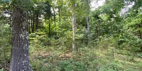 Image 4 Image 4