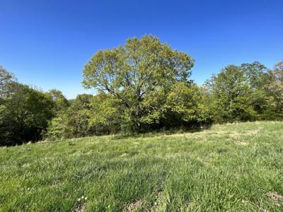 Lot 58 Eagle Crest Circle