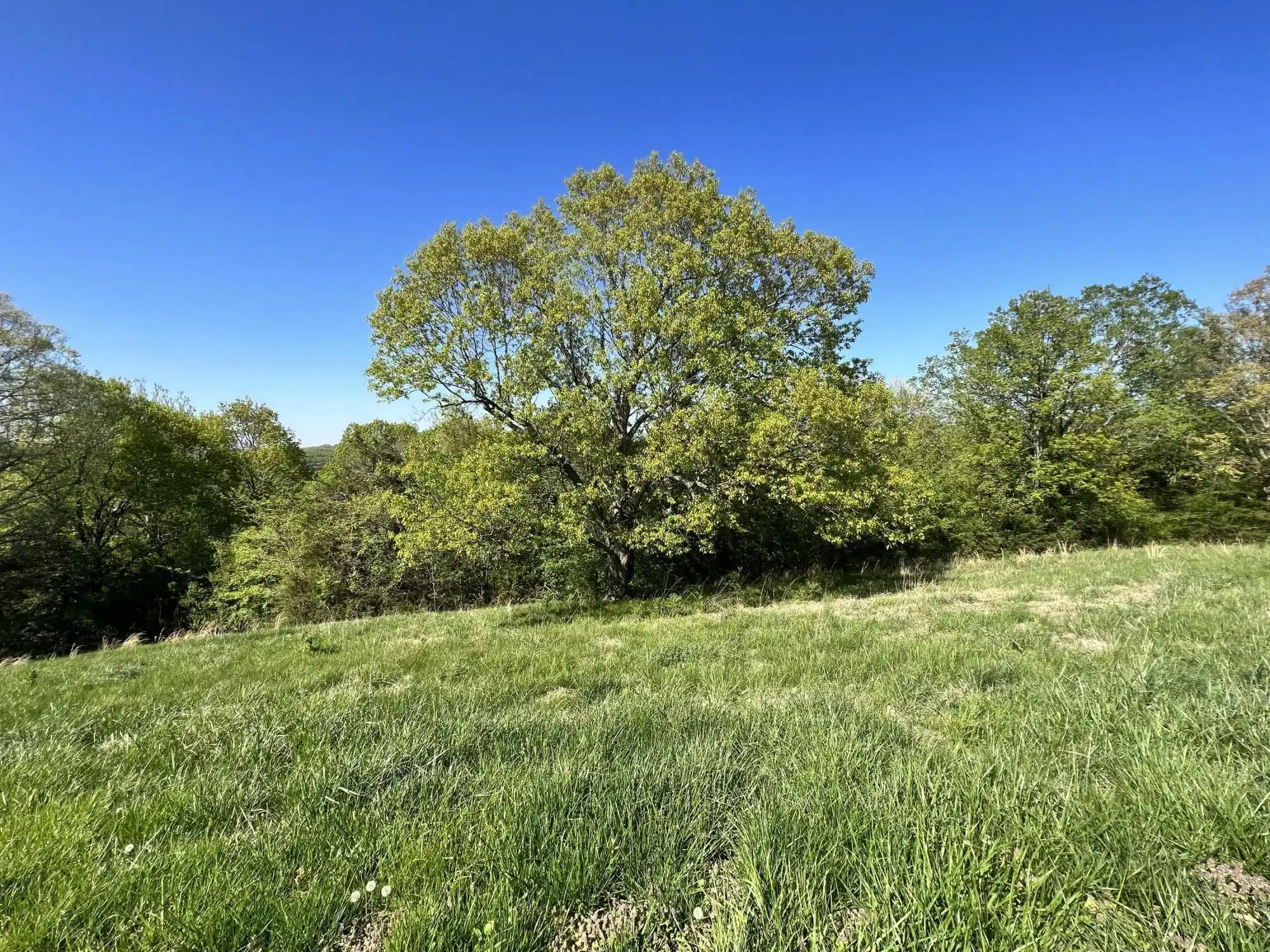 Image 1 Image 1