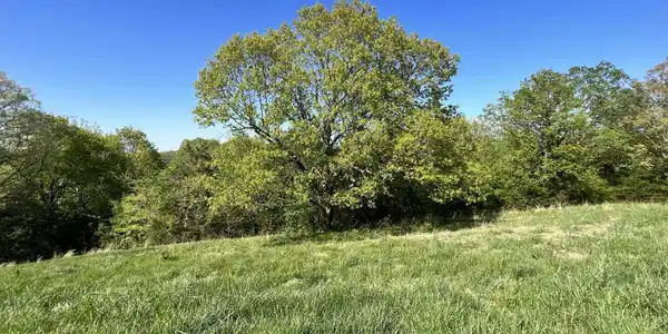 Lot 58 Eagle Crest Circle