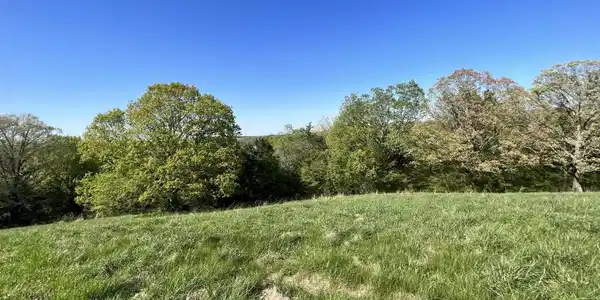 Image 3 Image 3