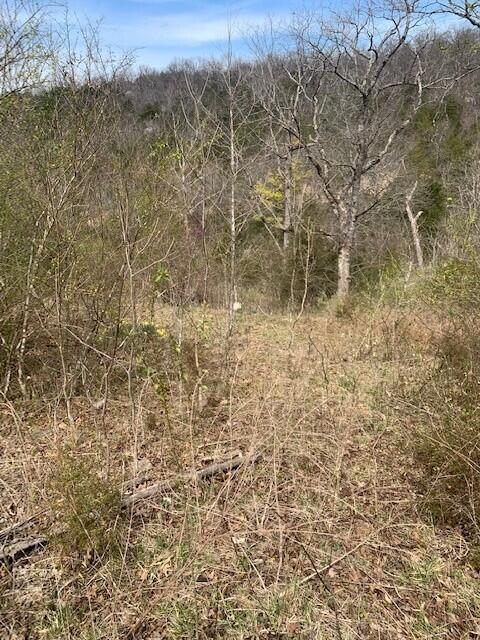 Image 1 Image 1