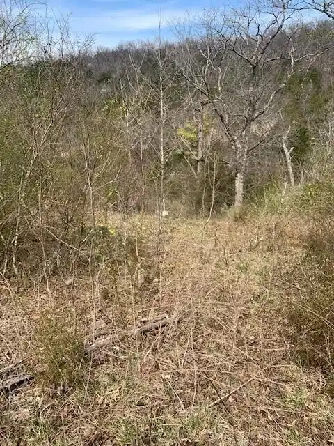 Image 1 Image 1