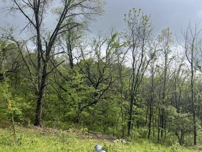 000 Lot 169 Panorama Drive