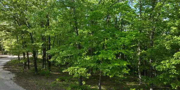 Lot 8 Buckskin Ridge