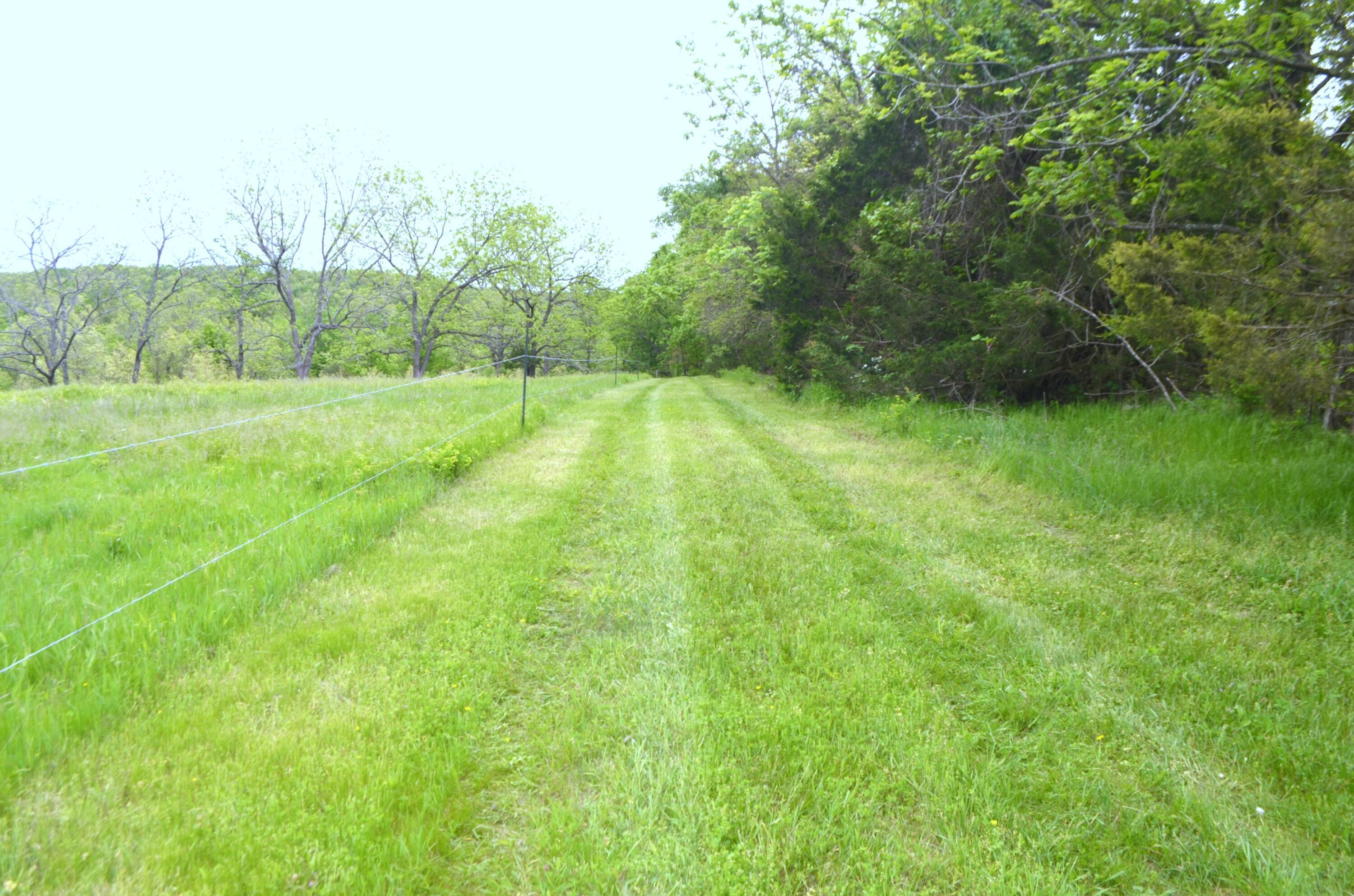 Image 4 Image 4
