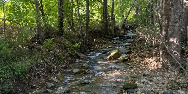 Image 3 Image 3