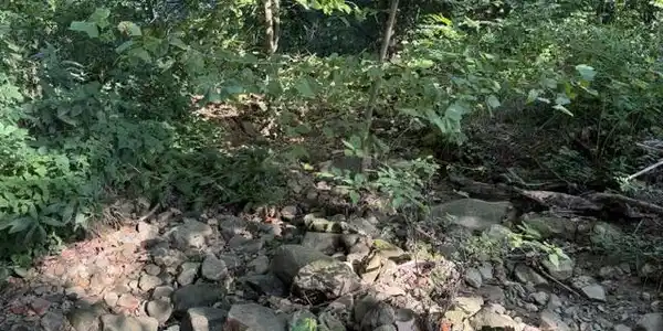 Image 4 Image 4
