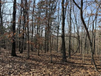 Lot 112 Walnut Springs Drive