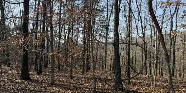 Lot 112 Walnut Springs Drive