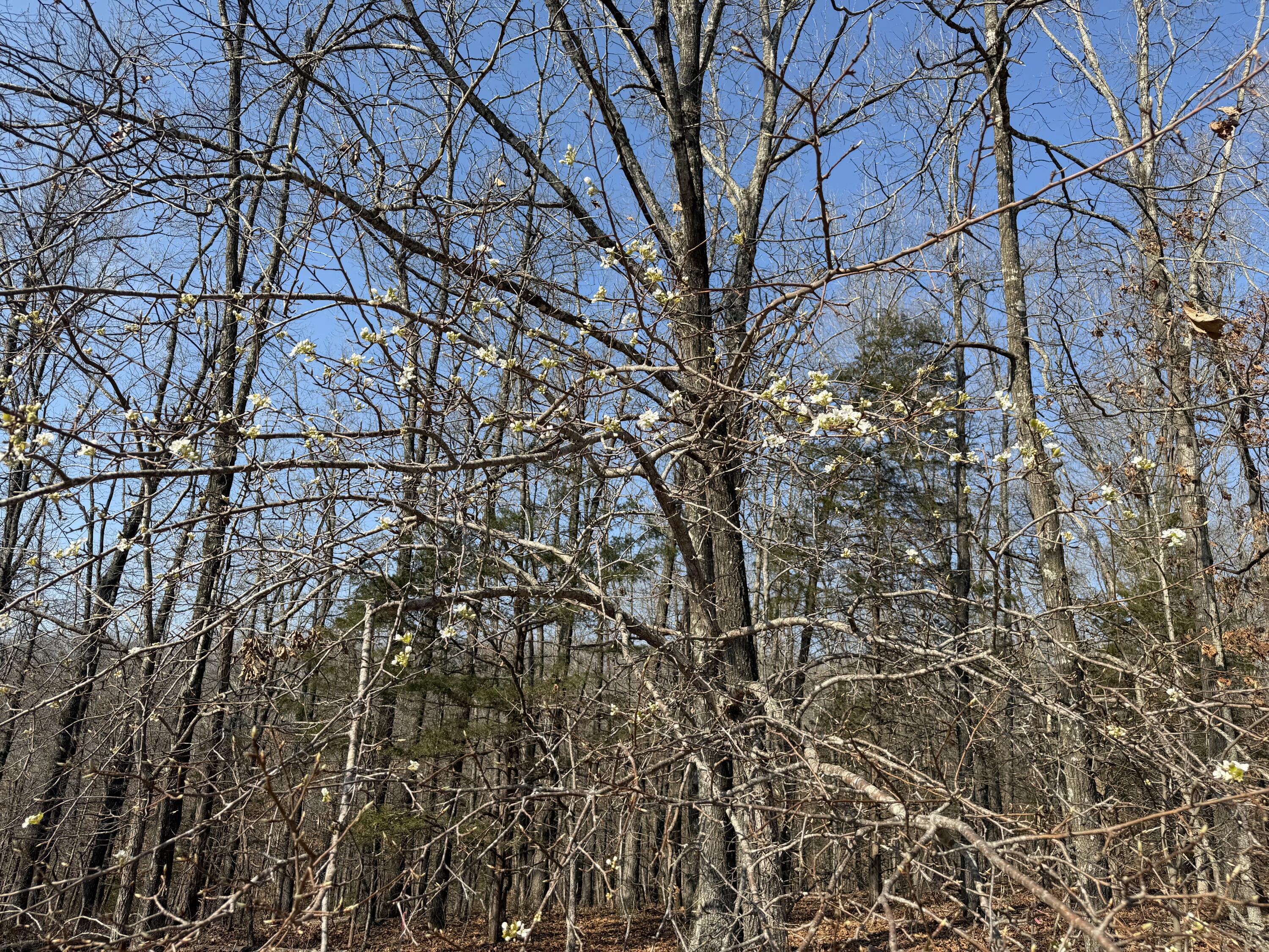 Image 3 Image 3