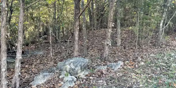 Image 4 Image 4