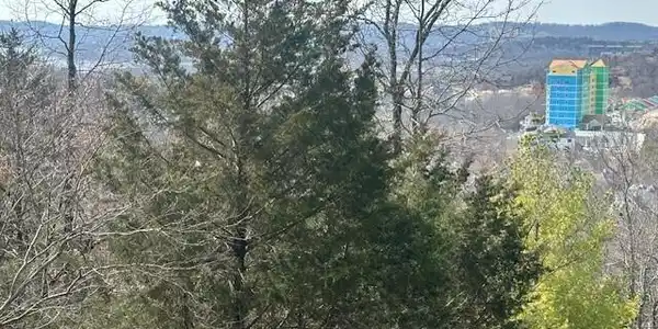 Image 2 Image 2