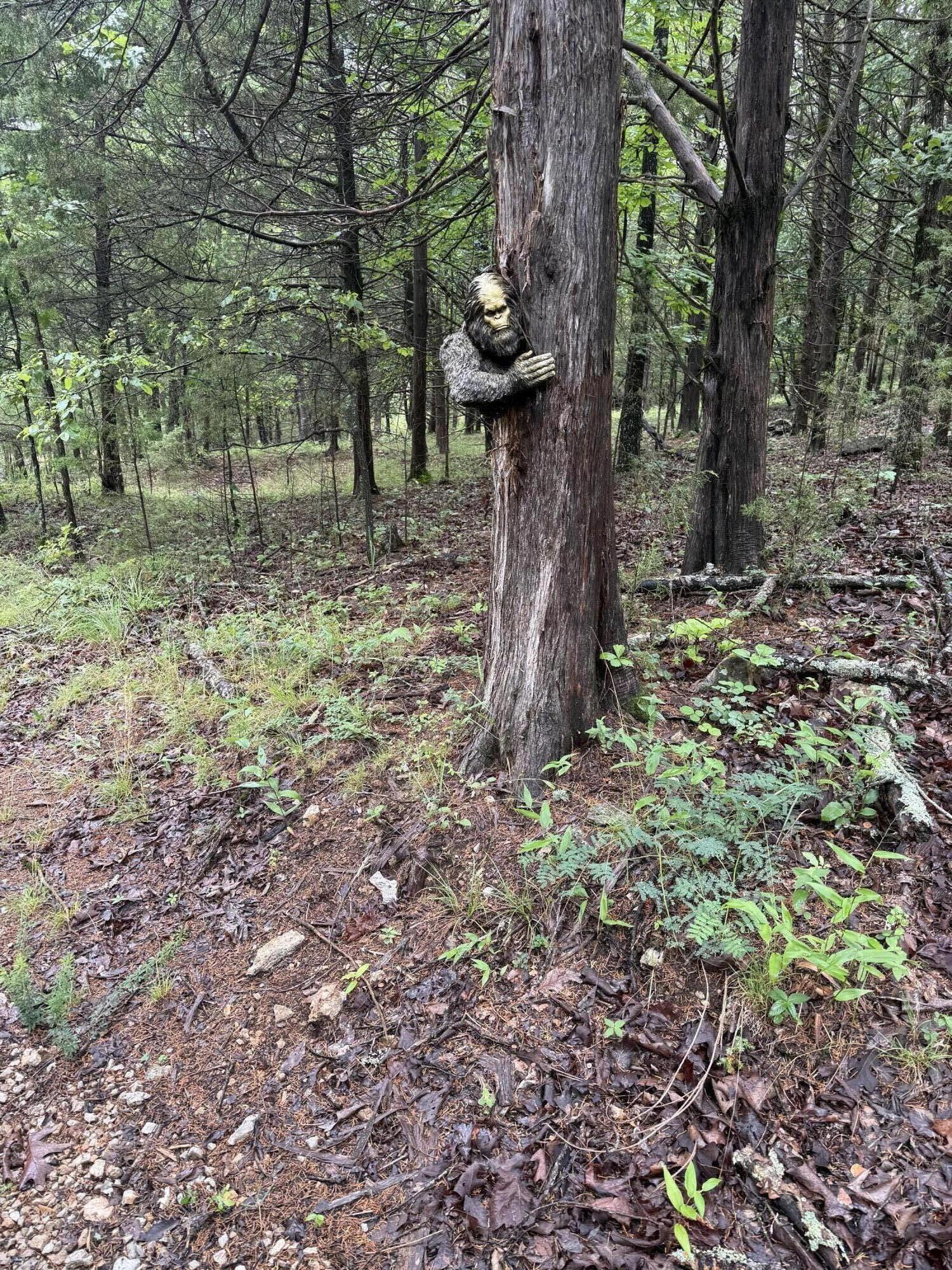 Image 4 Image 4