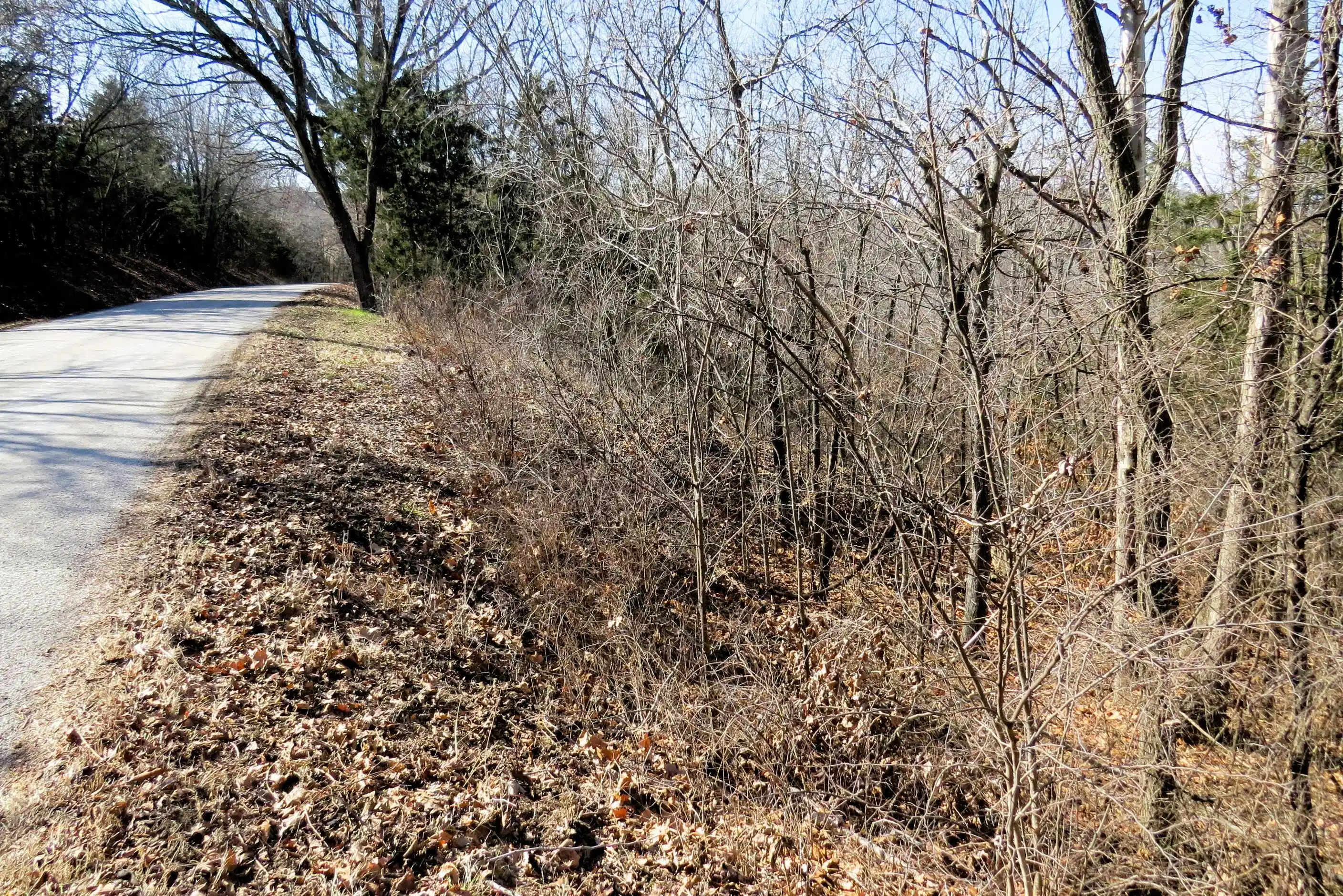 Image 1 Image 1
