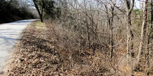 Lot 273a Hill Haven Road