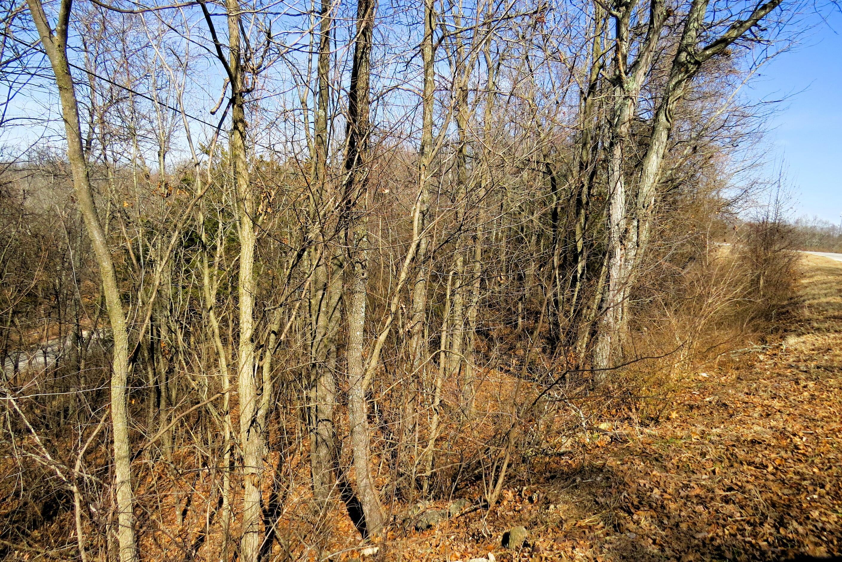 Image 4 Image 4