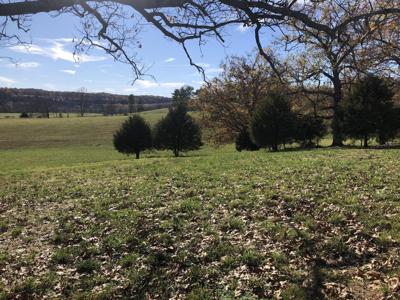 Lot #2 Lone Star Drive