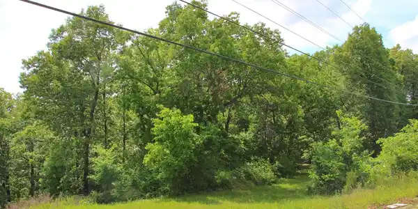 Image 4 Image 4