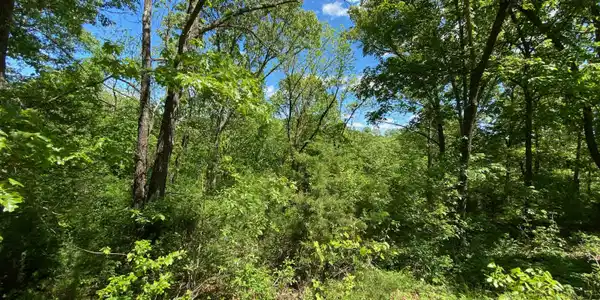 Image 3 Image 3