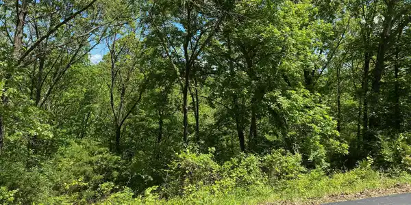 Image 4 Image 4