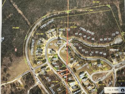 87(Lot 87) S Shining Mountain Drive