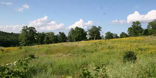 Image 4 Image 4