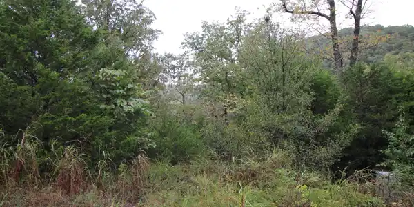 Lot 3 Silver Oak Way