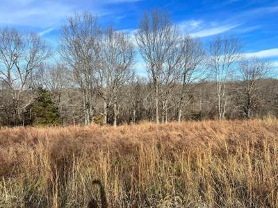 Lot 9 Middlegate Place