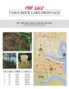 Lot 4 Piney Tower Road