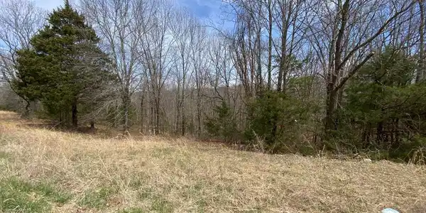 Image 4 Image 4