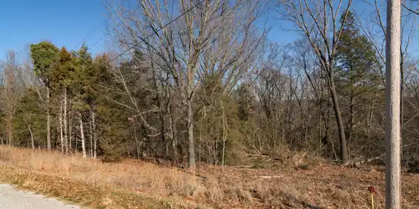Image 4 Image 4