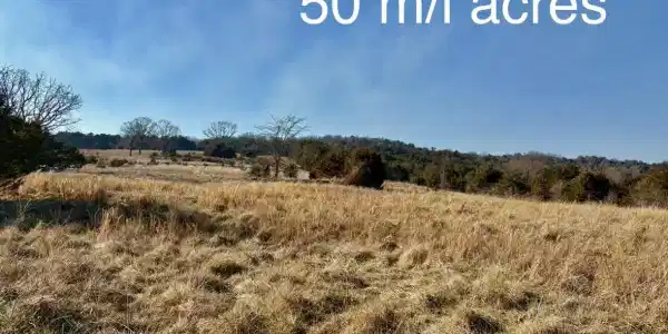000 County Road 900