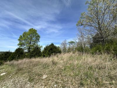 Lot 25 Hanging Branch Ridge Road