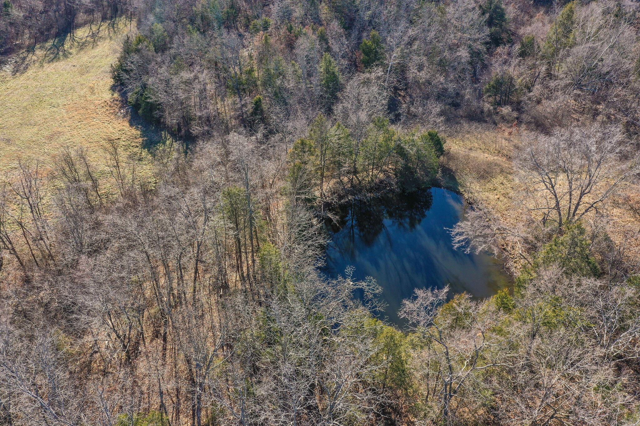 Image 4 Image 4