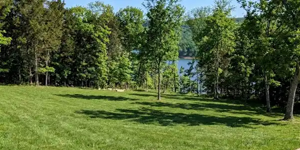 11 Tall Cedar Lane