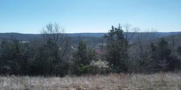 Image 3 Image 3